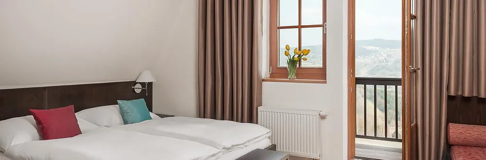 Premium pokoj v Hotelu Aneta